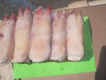 GRADE AA PORK FRONT FEET
