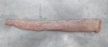 GRADE AA PORK INTESTINE (RECTUM)