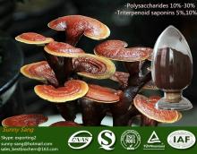  Ganoderma  Lucidum extract  powder 