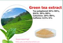 green  tea   extract   Tea  polyphenol,  EGCG , Catechins, L-theanine
