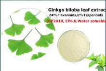Ginkgo biloba  leaf   extract 