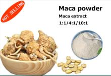  maca   root  powder