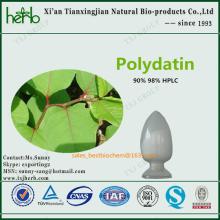 Polydatin(Giant Knotweed Extract)