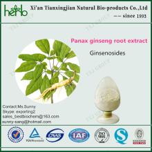 Panax ginseng root extract Ginsenosides