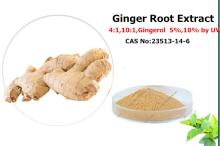 Vegetable extract Ginger Root Extract