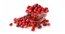 Cranberry Fruit Fiber/ Cranberry Fruit Seeds