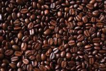 coffee bean