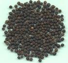 Black pepper