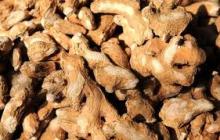 2016 New Crop Fresh Ginger