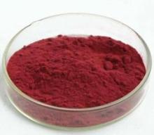 30% PAC Cranberry Extract
