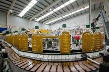 We can offer olive and sunflower oil at different size and different taste with