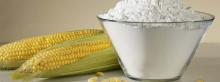 Modified CORN STARCH / MAIZE STARCH--high quality