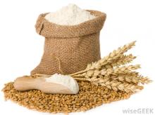 Top Grade Wheat Starch With Best Price