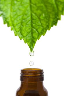 Factory Supply Peppermint essential oil