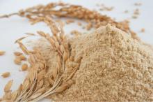 Rice Bran Powder/ Rice Bran Oil Extraction / Rice Bran Wax Extract