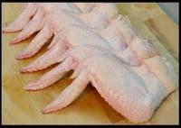 Double Quality Frozen Chicken wings/legs for sale