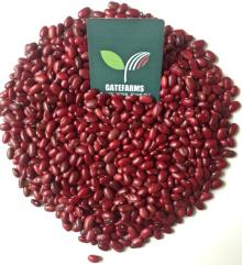 red kidney beans