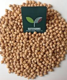 Kabuli Chickpeas