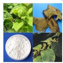 Resveratrol 98%