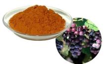 Grape Seed Extract 95% Proanthocyanidins