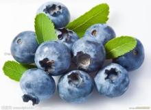  High   Quality   Bilberry   Extract  Powder