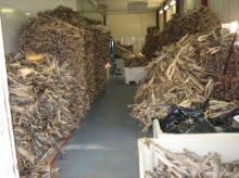 DRIED STOCK FISH FOR SALE