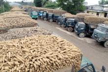 Hot Sale Tapioca Starch/Cassava/Manioc starch Food grade