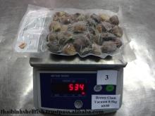 FROZEN VACUUM BROWN  CLAM 