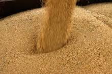 Soybean Meal for Animal Feed Good Quality