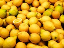 Grade A Fresh Lemon Fruit