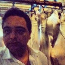 Veal / Halal Veal / Halal Veal Carcasses whole 60~100 kg sizes
