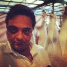 Halal Veal / Veal Carcasses / Fresh Halal Veal Carcasses 60~100 kg sizes