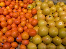 Fresh Citrus Fruits, Orange, Mamdarin, Clementine