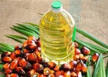 Top Quality Refined Palm Oil