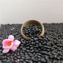Black kidney beans