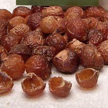 Natural Soap Nuts
