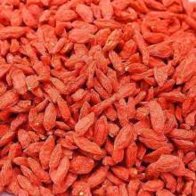 High Quality Organic Bulk Dried Goji Berry