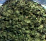 Dried bitter Leaf