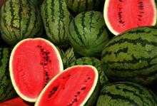Fresh Watermelons