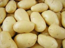 organic fresh potato