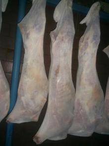 Freshly Chilled Halal Mutton 7~10 kg size whole carcasses