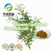 Rosemary Extract Rosmarinic Acid