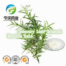 Rosemary Extract Ursolic Acid