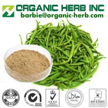  Green   Tea  Extract