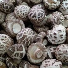 Dried White Flower Shiitake Mushroom Whole