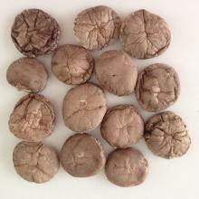 Brown Dried Smooth Shiitake Mushroom Whole with Cap 3-4CM