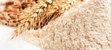 Malted Wheat Flour Grade A
