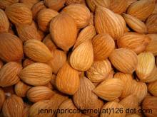 Sweet Apricot Kernel