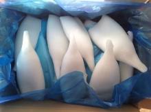 Frozen Squid Tube