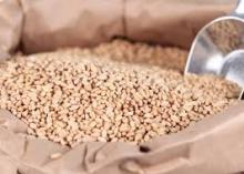  Soft   Milling   Wheat 
